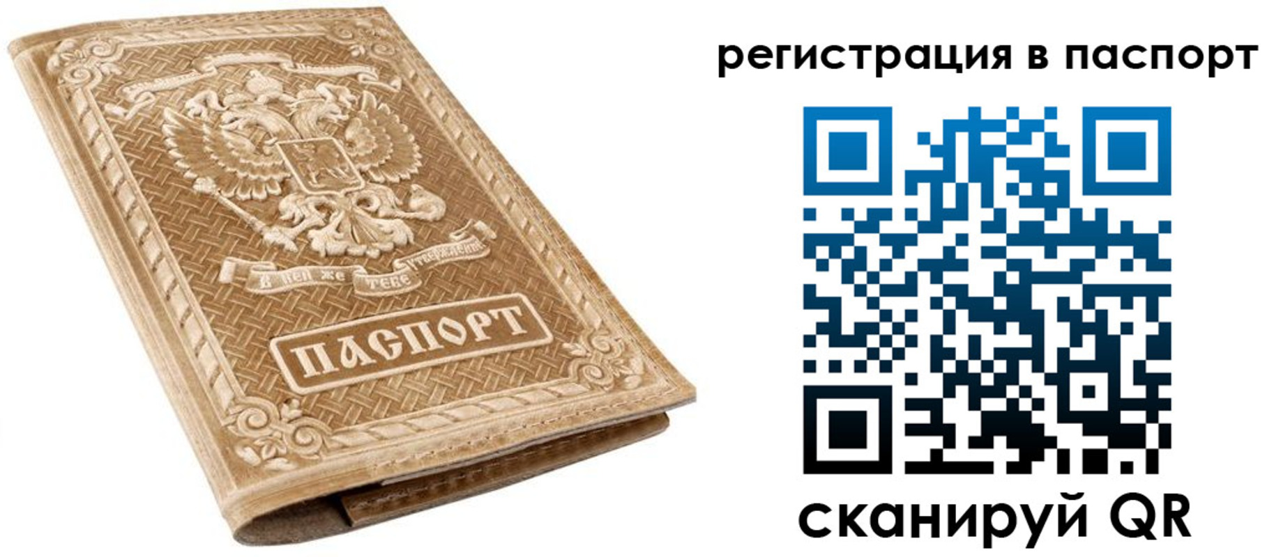 прописка в Цимлянске